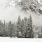 Snow Clad
