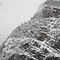 Yosemite Winter, #219