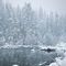 Winter in Yosemite, #320