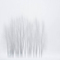 Snow on Cottonwoods, Ahwahnee Meadow