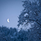 First Light