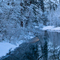 Crystal Trees
