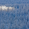 Diamond Trees