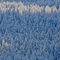 Snow Clad Trees
