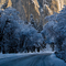 Road to El Capitan, Yosemite