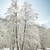 http://jenniferdurham.com/lightcomingback/wp-content/uploads/images/yapb_cache/yosemite_02_18_09_392_2.6e9iy5fj7j28sg08scwck4wk4.cprwfekhs3icg0oso44w8448o.th.jpeg