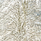 Snow on Cottonwoods, #419