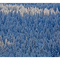 Snow Trees
